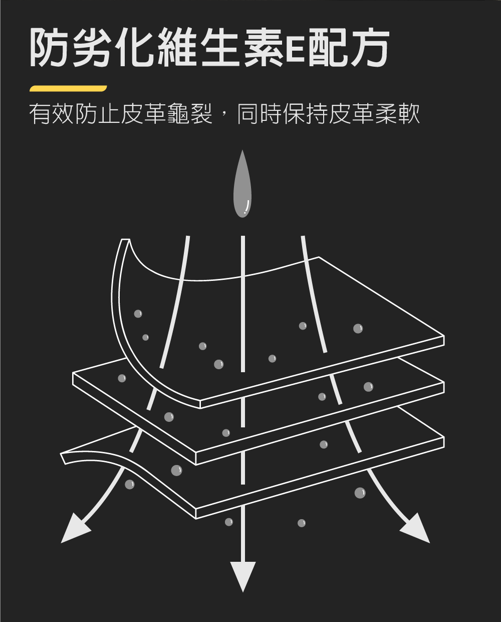 日本Willson皮革清潔維護劑_防劣化維生素E配方